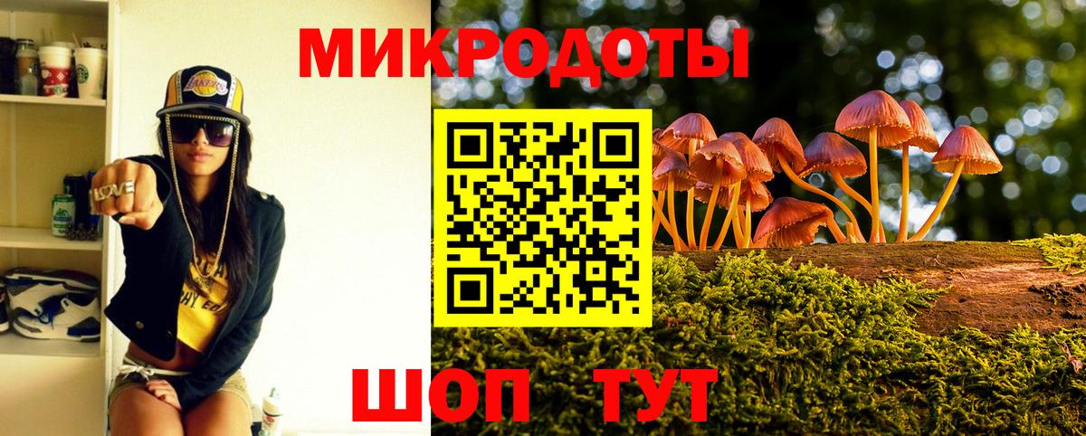 купить наркотик  Псилоцибиновые грибы GOLDEN TEACHER  Вход с VPN  Арсеньев 
