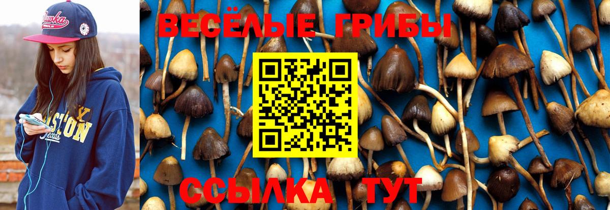 Галлюциногенные грибы MAGIC MUSHROOMS Арсеньев